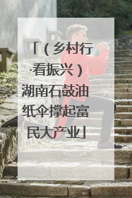（乡村行·看振兴）湖南石鼓油纸伞撑起富民大产业