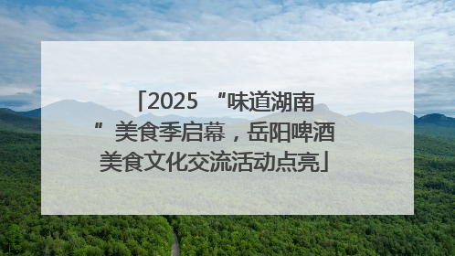 2025 “味道湖南”美食季启幕，岳阳啤酒美食文化交流活动点亮