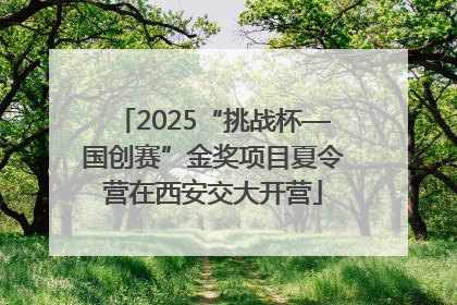 2025“挑战杯—国创赛”金奖项目夏令营在西安交大开营
