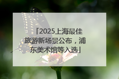 2025上海最佳旅游新场景公布，浦东美术馆等入选