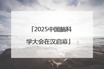 2025中国脑科学大会在汉启幕