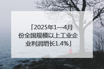 2025年1—4月份全国规模以上工业企业利润增长1.4%