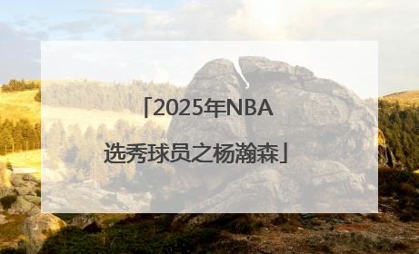 2025年NBA选秀球员之杨瀚森