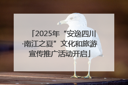 2025年“安逸四川·南江之夏”文化和旅游宣传推广活动开启