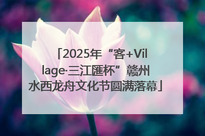 2025年“客+Village·三江匯杯”赣州水西龙舟文化节圆满落幕