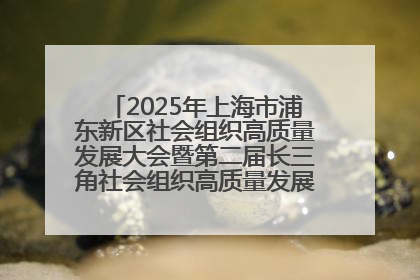 2025年上海市浦东新区社会组织高质量发展大会暨第二届长三角社会组织高质量发展峰会成功举办