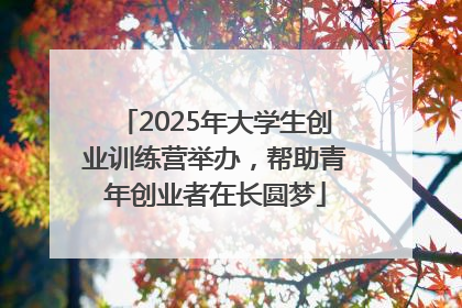 2025年大学生创业训练营举办，帮助青年创业者在长圆梦