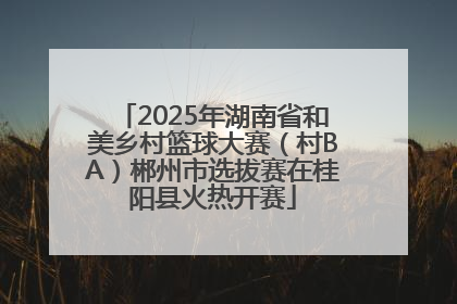 2025年湖南省和美乡村篮球大赛（村BA）郴州市选拔赛在桂阳县火热开赛