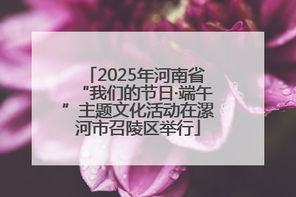 2025年河南省“我们的节日·端午”主题文化活动在漯河市召陵区举行