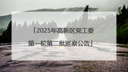 2025年高新区党工委第一轮第二批巡察公告