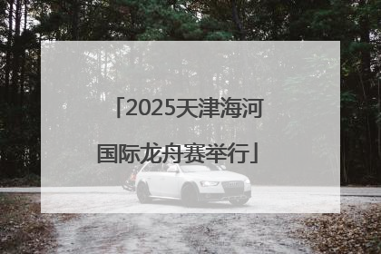 2025天津海河国际龙舟赛举行