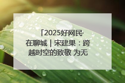 2025好网民·在聊城｜宋建果：跨越时空的致敬 为无名烈士“正名”