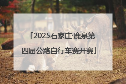 2025石家庄·鹿泉第四届公路自行车赛开赛
