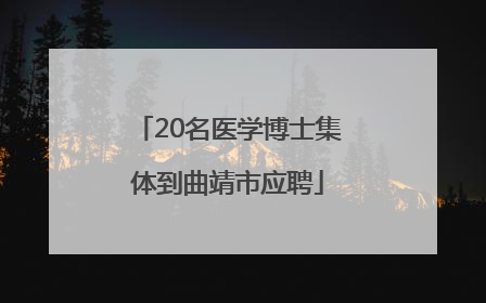 20名医学博士集体到曲靖市应聘
