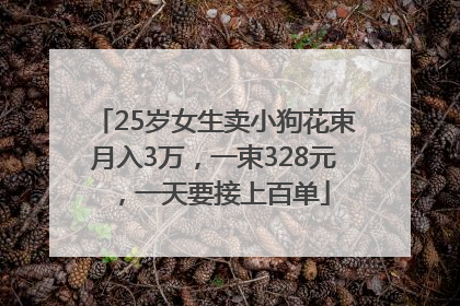 25岁女生卖小狗花束月入3万，一束328元，一天要接上百单