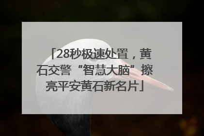 28秒极速处置，黄石交警“智慧大脑”擦亮平安黄石新名片
