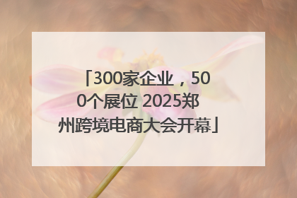300家企业，500个展位 2025郑州跨境电商大会开幕