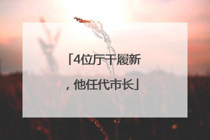 4位厅干履新，他任代市长