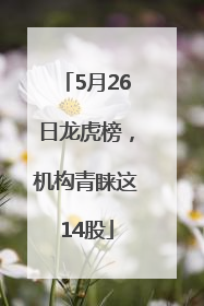 5月26日龙虎榜，机构青睐这14股