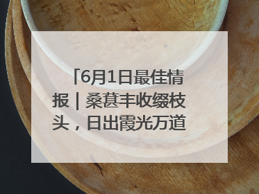 6月1日最佳情报｜桑葚丰收缀枝头，日出霞光万道蓬勃壮观！恭喜