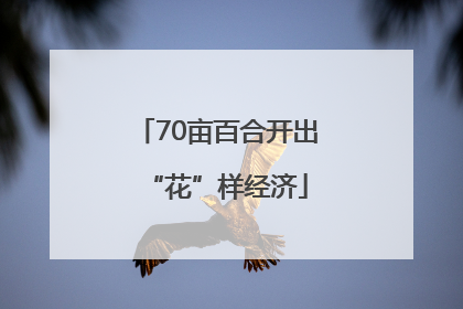 70亩百合开出“花”样经济