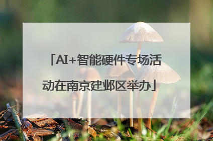 AI+智能硬件专场活动在南京建邺区举办