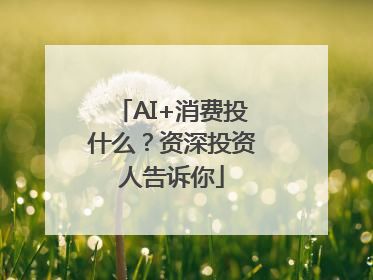 AI+消费投什么？资深投资人告诉你