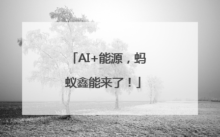 AI+能源，蚂蚁鑫能来了！