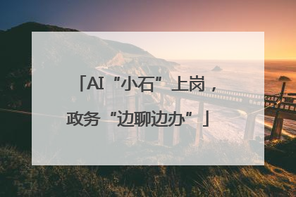 AI“小石”上岗，政务“边聊边办”