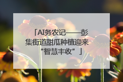 AI务农记——彭集街道甜瓜种植迎来“智慧丰收”