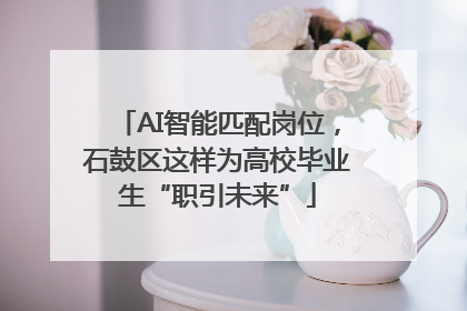 AI智能匹配岗位，石鼓区这样为高校毕业生“职引未来”
