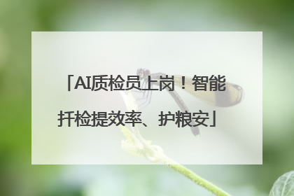 AI质检员上岗！智能扦检提效率、护粮安
