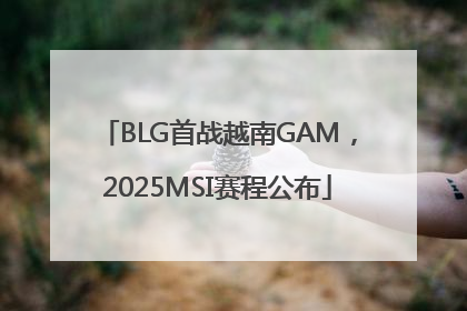 BLG首战越南GAM，2025MSI赛程公布