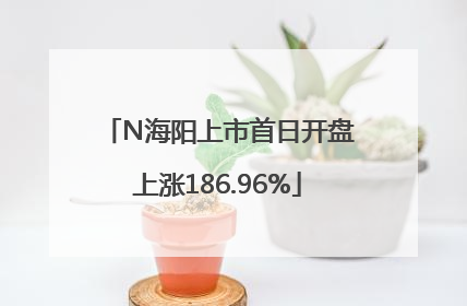 N海阳上市首日开盘上涨186.96%