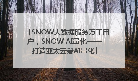 SNOW大数据服务万千用户，SNOW AI量化——打造亚太云端AI量化