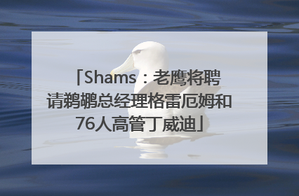 Shams：老鹰将聘请鹈鹕总经理格雷厄姆和76人高管丁威迪