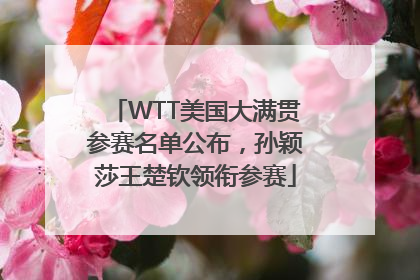 WTT美国大满贯参赛名单公布，孙颖莎王楚钦领衔参赛